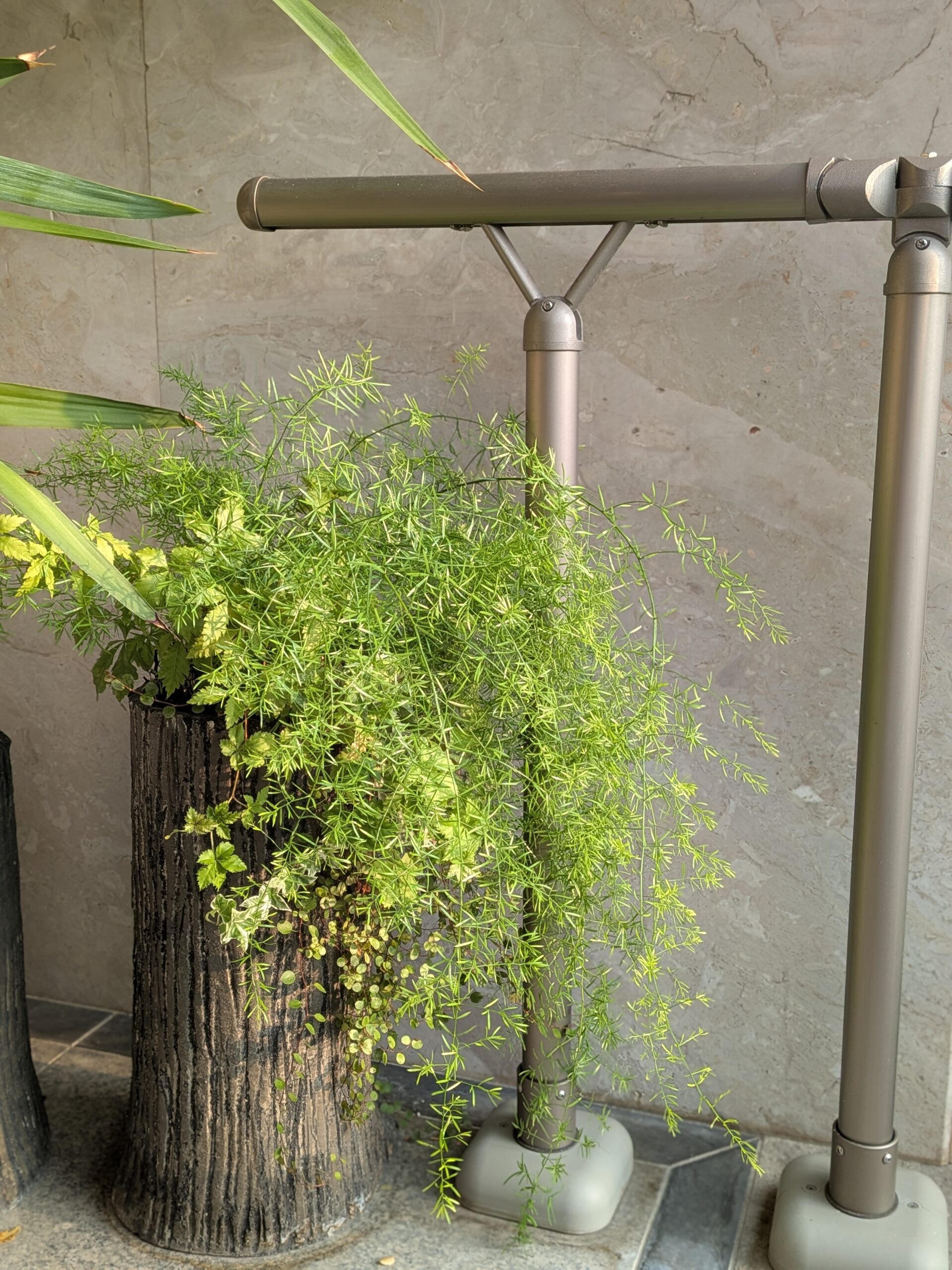 「ジャパンディ」とは？ NoelHatchのセメントアートが語る美意識